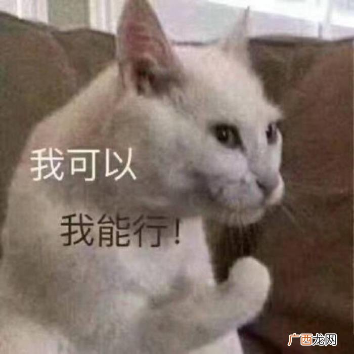 元气满满的表情包合集 元气满满图片
