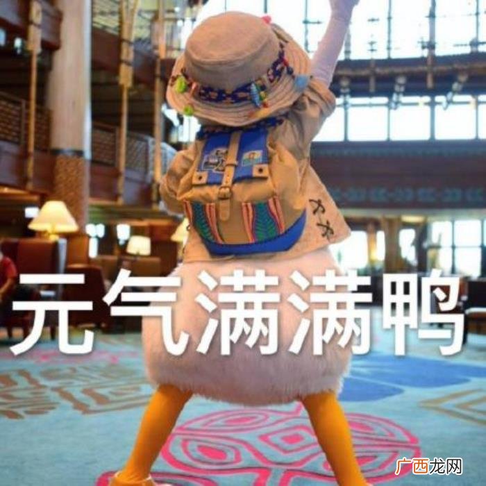 元气满满的表情包合集 元气满满图片