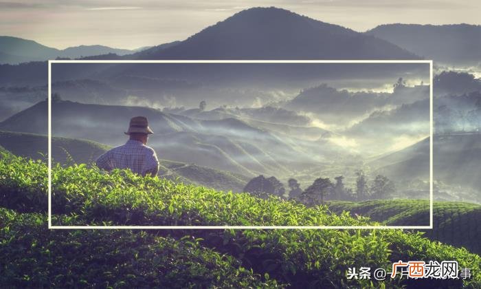 总给人一种苦尽甘来的感觉 茶给人一种什么感觉