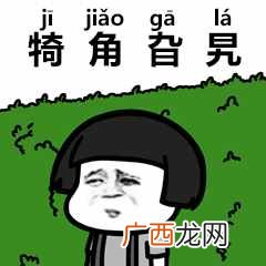 茕茕孑立是什么歌 茕茕孑立沆瀣怎么读音