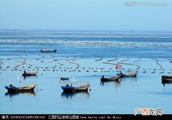 养鱼养绿水 养殖绿水