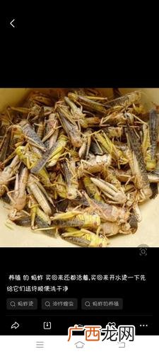 养殖蚯蚓往外爬怎么办 爬炸养殖