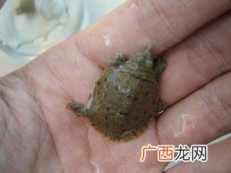 养殖蚯蚓往外爬怎么办 爬炸养殖