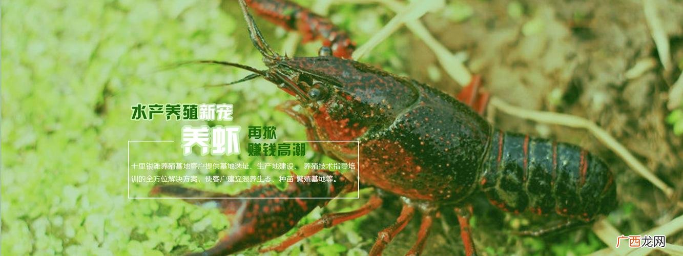 现代水产养殖业的发展概况 2016水产养殖行业风险分析