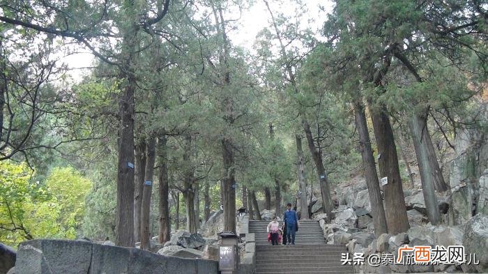 为什么夫妻不能爬泰山，情侣登泰山后真的会分手吗