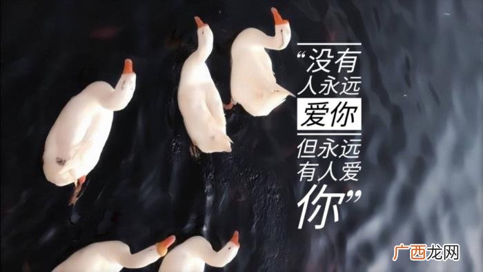 委婉暗示分手的句子，回归单身‖暗示要分手的句子