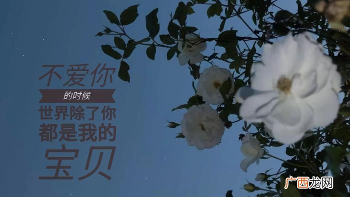 委婉暗示分手的句子，回归单身‖暗示要分手的句子