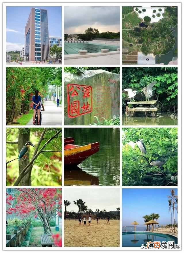 福建农林大学金山学院多大（福建农业大学金山