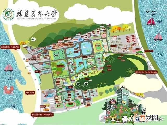 福建农林大学金山学院多大（福建农业大学金山