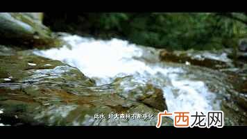 绿叶化妆品是纯天然吗(绿叶生活用品是传销吗
