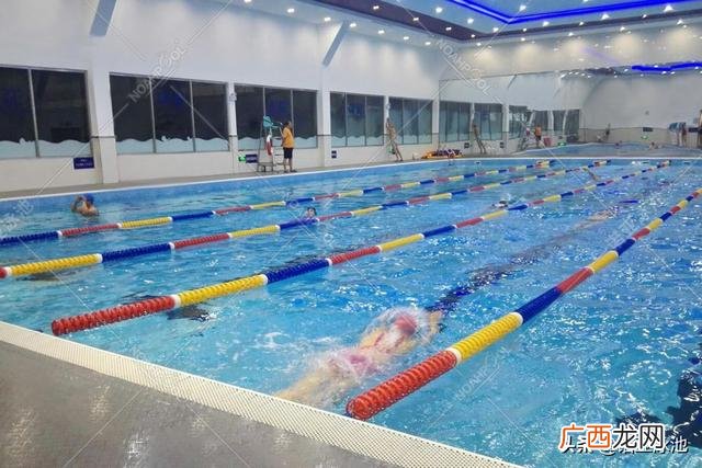 建造一个游泳池价格,投资一个游泳馆要多少钱