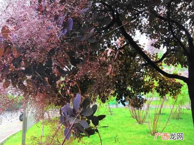 烟斗里面能镶铜锅吗 旱烟斗怎么用