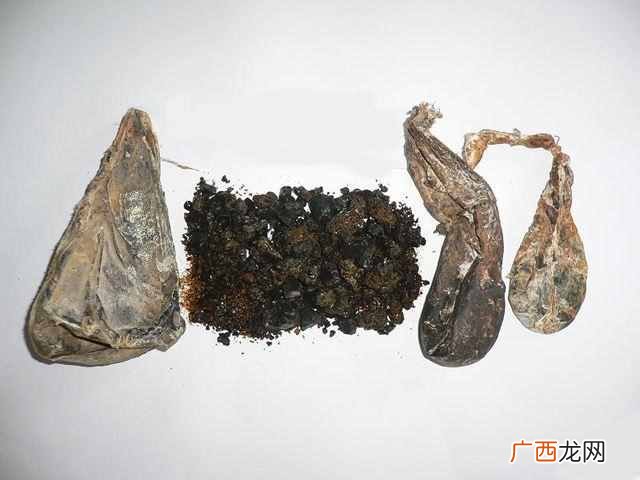 什么人不能吃熊胆粉 归真堂熊胆粉怎么吃