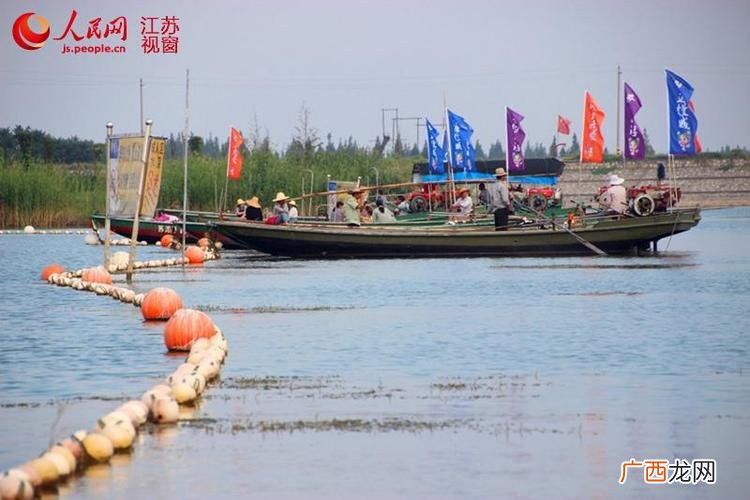 固城湖螃蟹养殖基地 固城湖边能买到养殖户的螃蟹吗