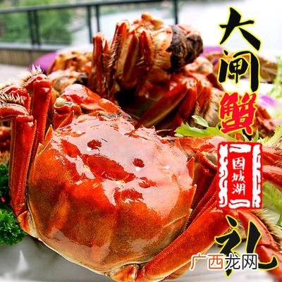 固城湖螃蟹养殖基地 固城湖边能买到养殖户的螃蟹吗