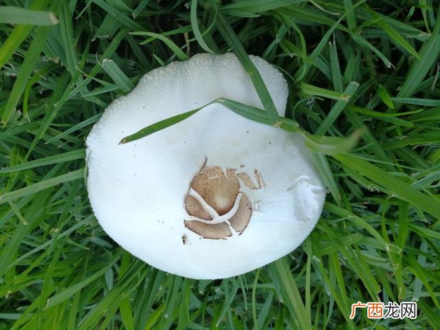 房贷选建行怎么样 企业应如何选择贷款银行