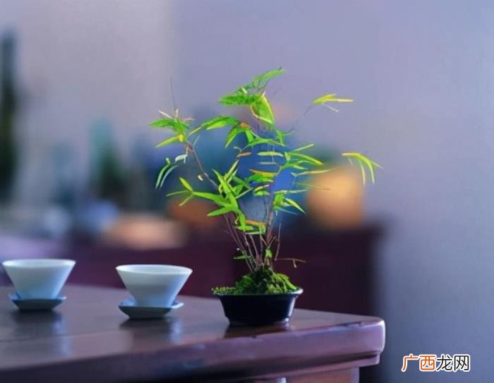 享受生活中片刻的惬意 享受一杯茶的说说