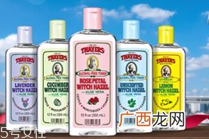 北美金缕梅的功效与作用