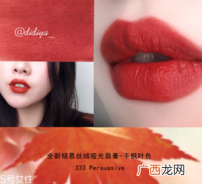 阿玛尼405和雅诗兰黛333哪个好？333谁涂谁好看