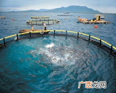 2019年是水产养殖最困难的一年 2.16年水产养殖怎么样