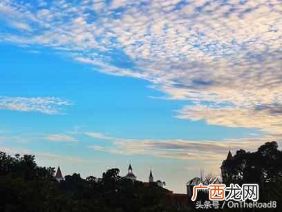 暑假去厦门旅游怎么样(厦门自由行管家哪个靠谱