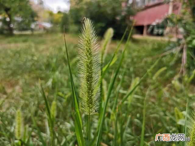 华为荣耀20i参数配置 华为荣耀20值得购买吗