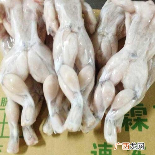 牛蛙怎么养 牛蛙一般是养殖的还是野生的