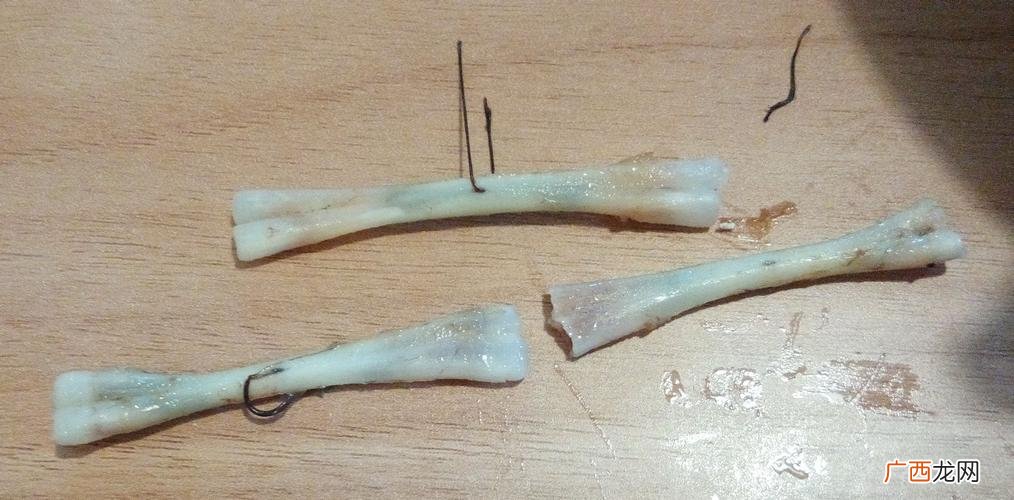 牛蛙怎么养 牛蛙一般是养殖的还是野生的