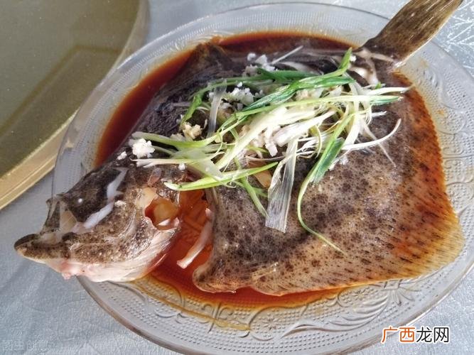 多宝鱼为什么喂抗生素 水产养殖 抗生素滥用 多宝鱼