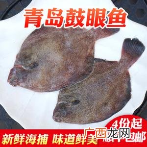 多宝鱼为什么喂抗生素 水产养殖 抗生素滥用 多宝鱼