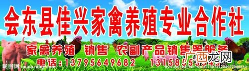 肉牛养殖合作社简介范文 养殖专业合作 互联网社简介