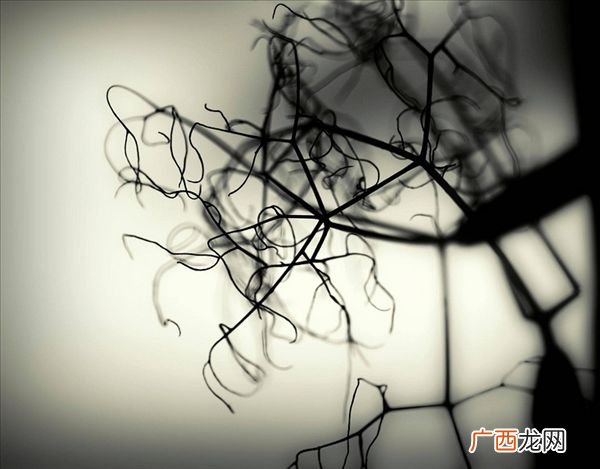 什么是三叉神经痛三叉神经痛的治疗方式