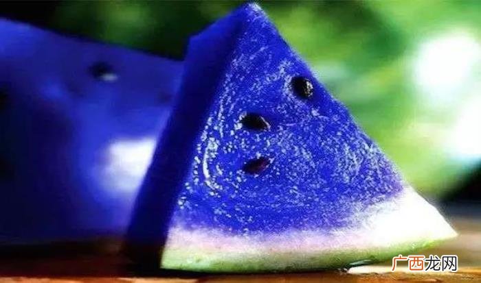 网络上很火的10张图片 最火网图图片