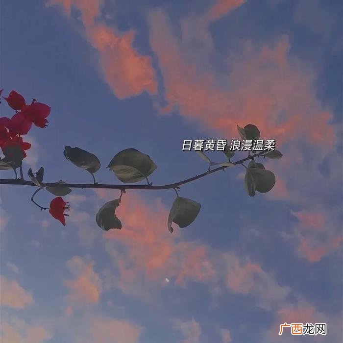 【全网最全壁纸】之朋友圈背景 伤感壁纸带字