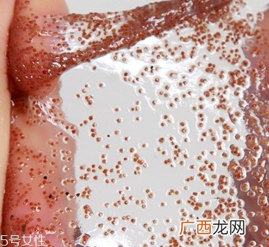 半亩花田海藻面膜怎么样？