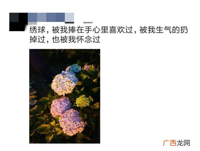 异地恋面临的三大问题 异地男朋友说对我有压迫感