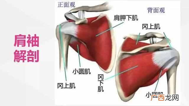 肩膀疼怎么缓解 夜间肩膀痛是怎么回事