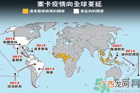 寨卡病毒为何会震惊全球?怎样预防寨卡病毒