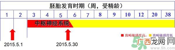 寨卡病毒是不是与基因突变有关系?