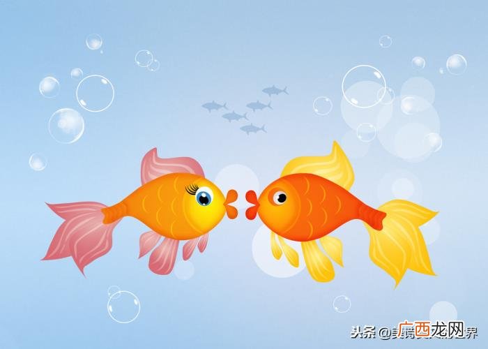 相忘于江湖是分手吗，不如相忘于江湖很酷