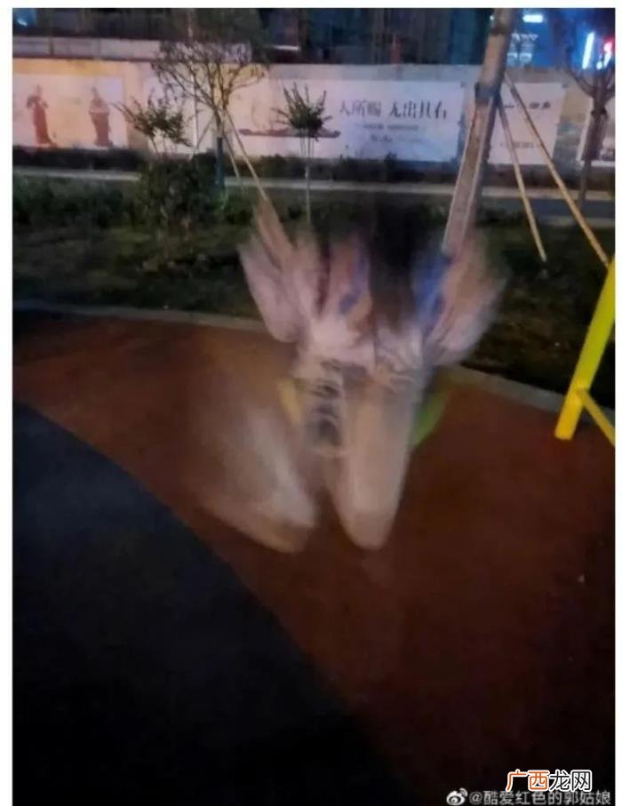 女明星颜值微博，女明星的美貌竞争