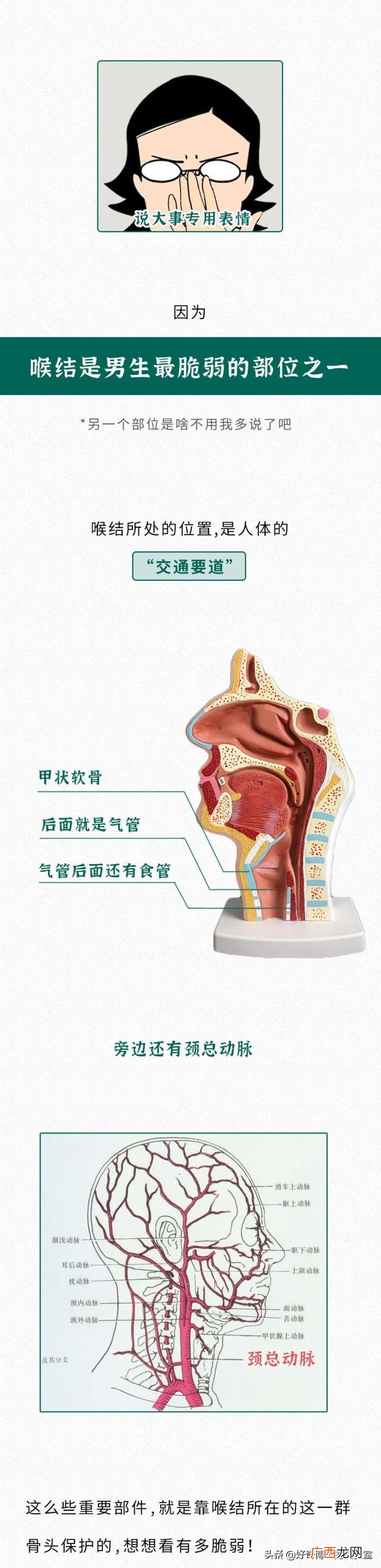 为什么不能摸男生喉结，男生的喉结为什么不能摸