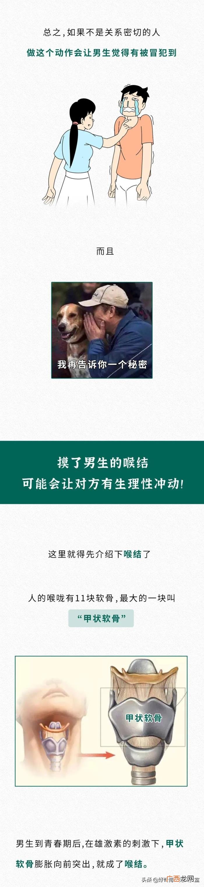 为什么不能摸男生喉结，男生的喉结为什么不能摸