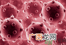 黄热病是什么?黄热病是传染病吗?