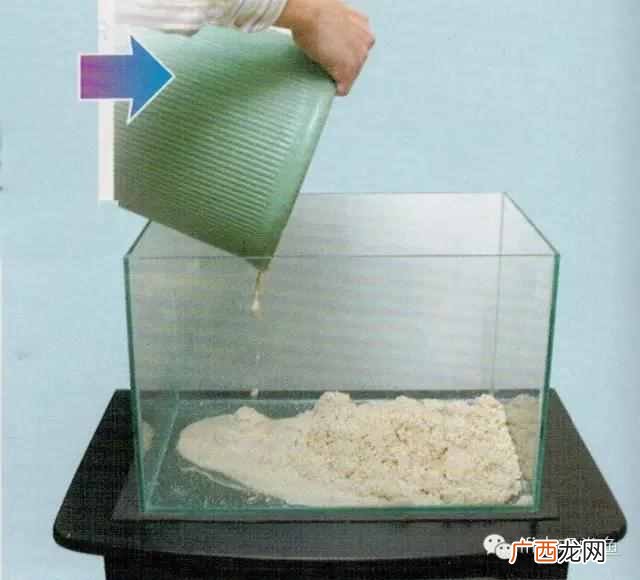 养小丑鱼最好养几只 海水小丑鱼怎么养