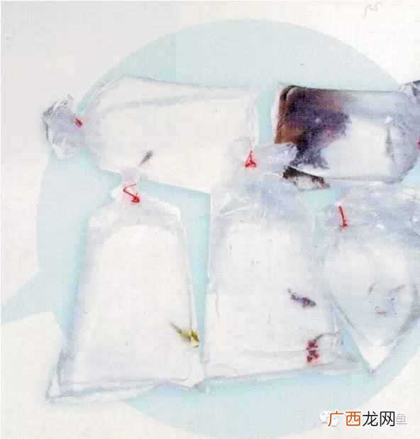 养小丑鱼最好养几只 海水小丑鱼怎么养