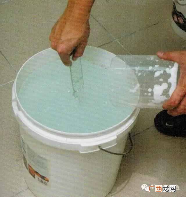 养小丑鱼最好养几只 海水小丑鱼怎么养