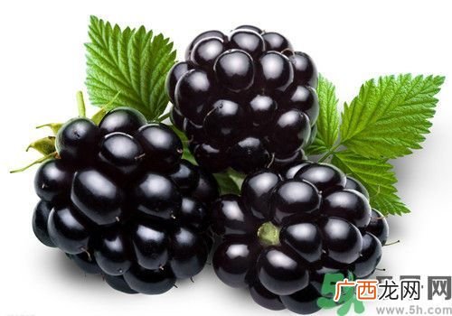胆囊炎能吃桑葚吗？胆囊炎吃桑葚好吗？