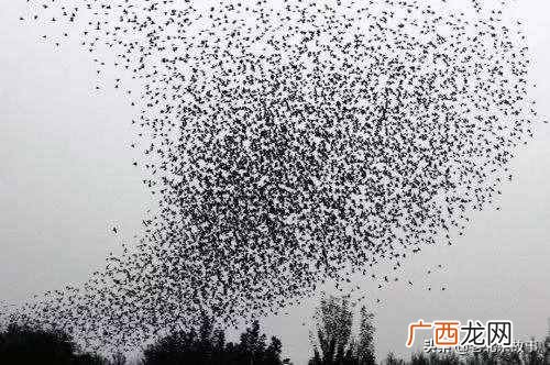 达内有几个校区 北京万寿路达内怎么样
