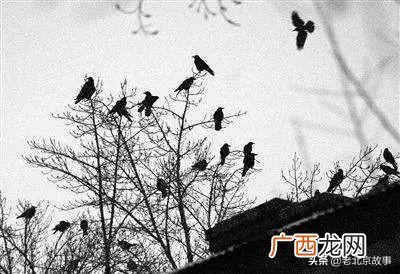 达内有几个校区 北京万寿路达内怎么样